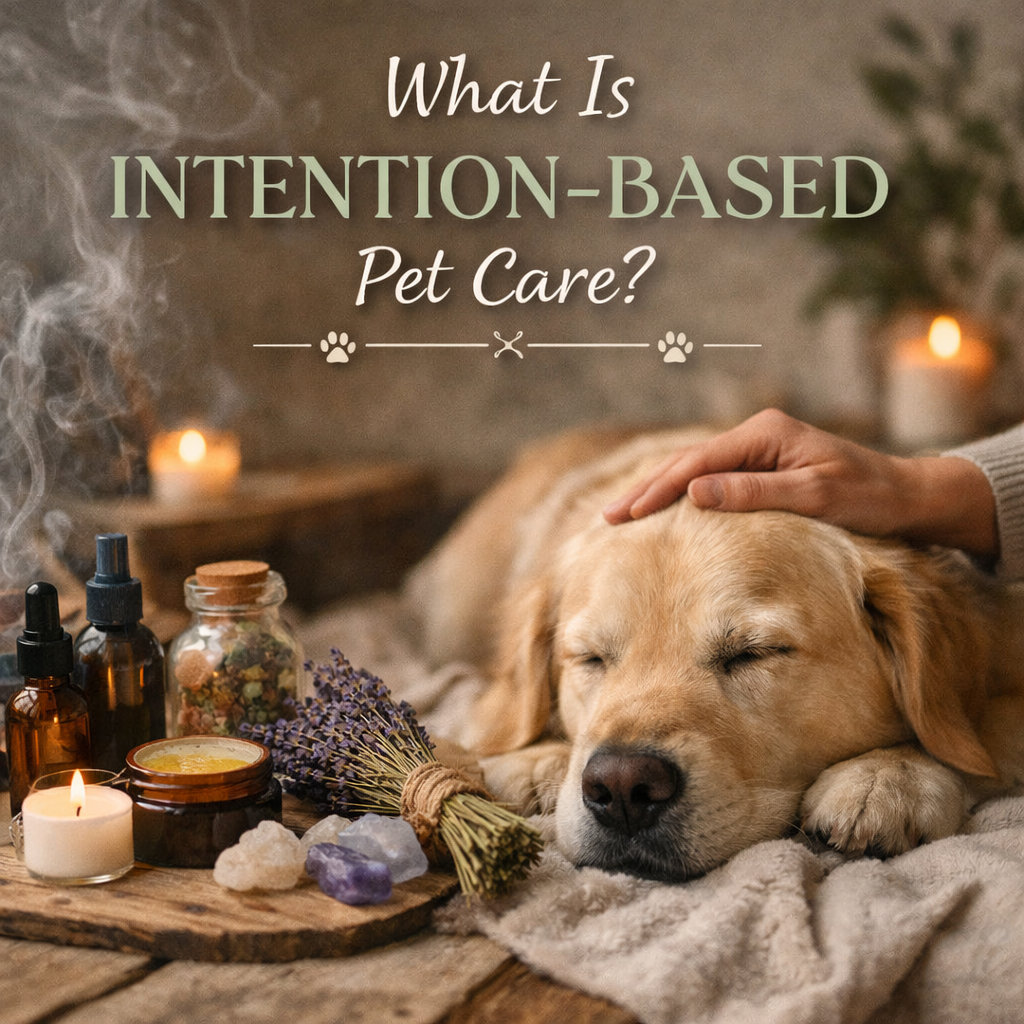 What is intention-based pet care?