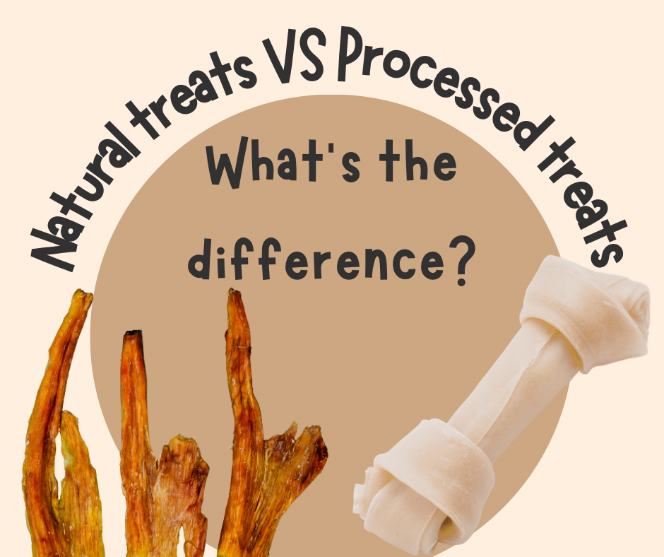 Natural Treats vs Processed Treats for Dogs: An Aussie Pet Owner’s Guide