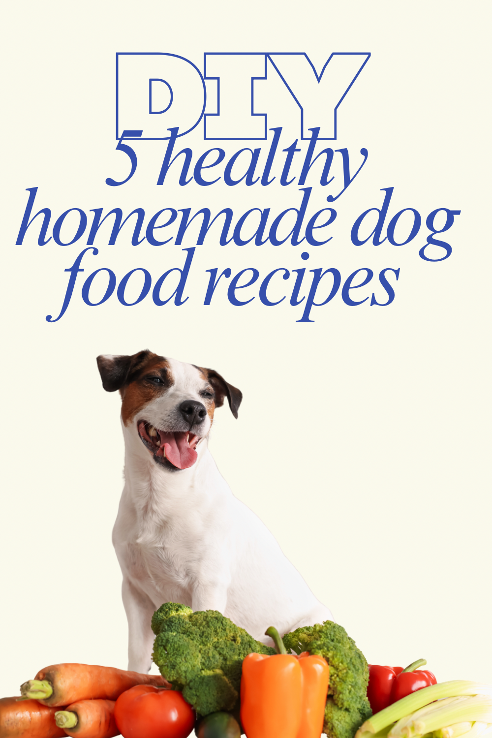 DIY 5 Healthy Homemade Dog Food Recipes
