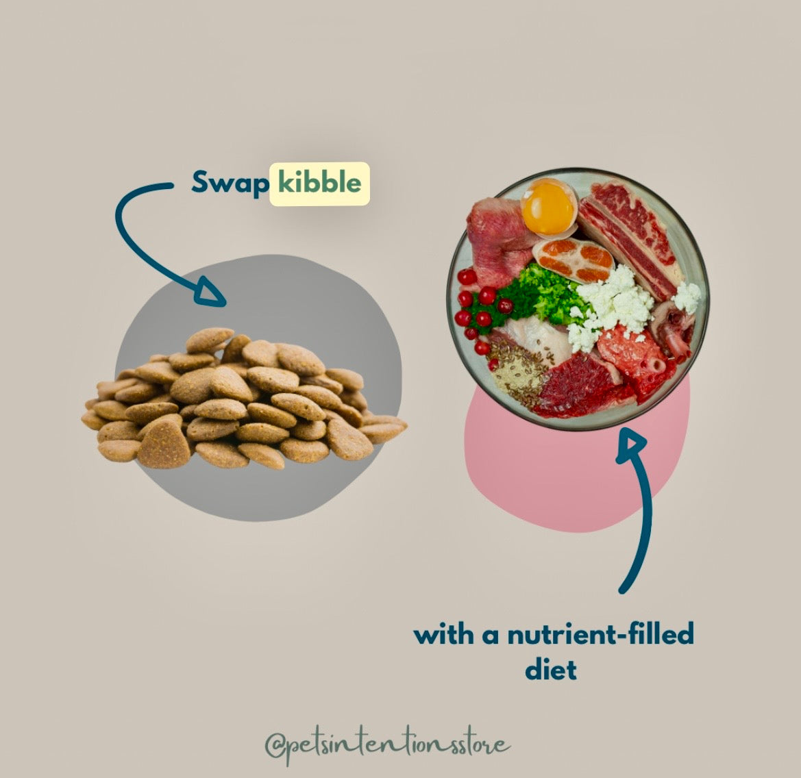 Why Nutrition Is the Foundation of Your Dog’s Health