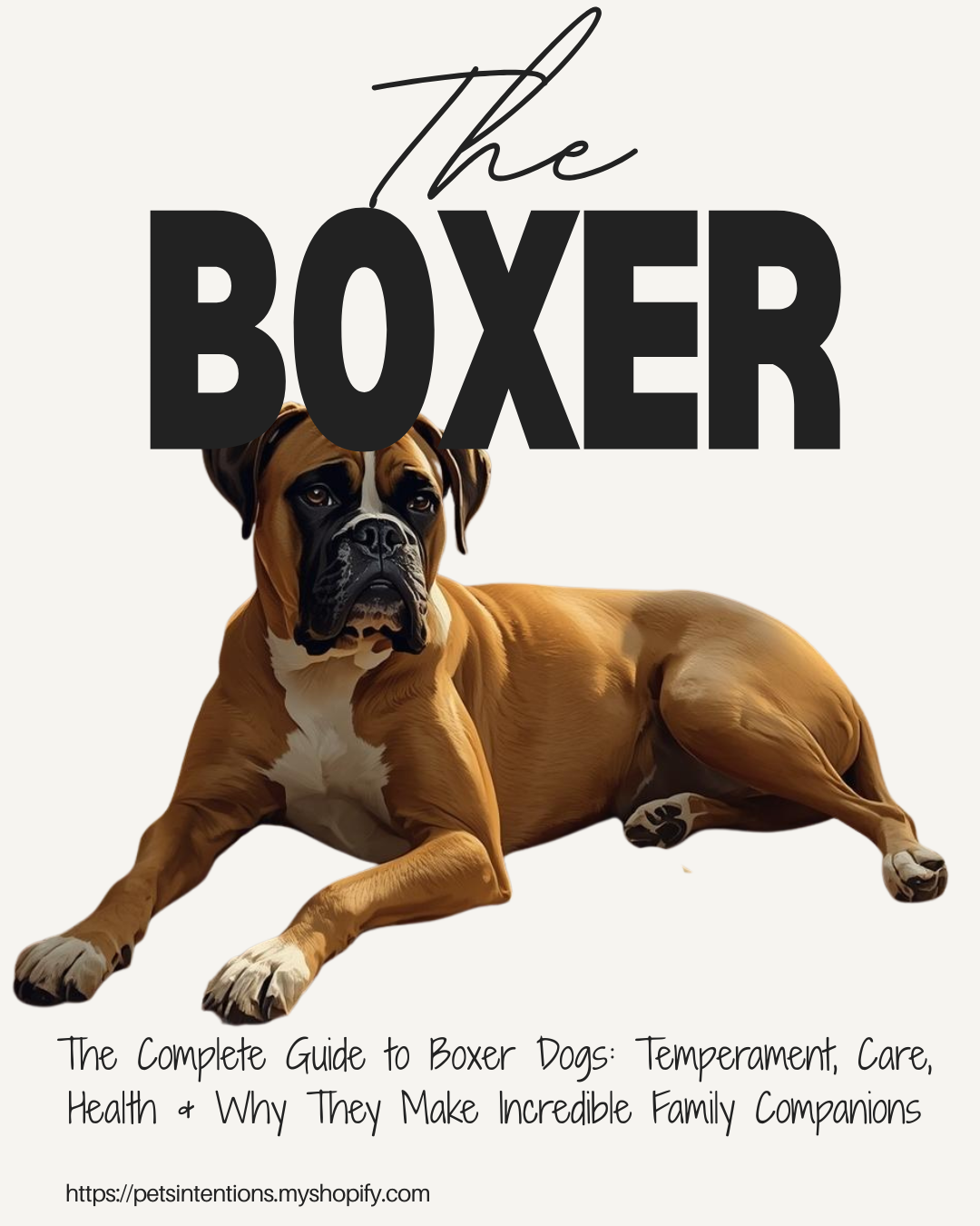 The Complete Guide to Boxer Dogs: Temperament, Care, Health & Why They Make Incredible Family Companions
