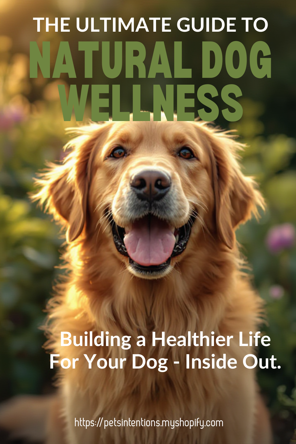 The Ultimate Guide to Natural Dog Wellness: Building Lifelong Health from the Inside Out