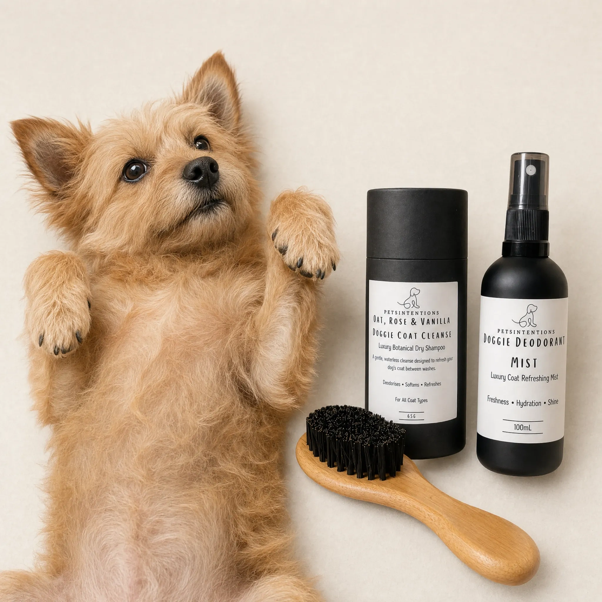 Translation missing: en.Wellness Bundles | Holistic Care Sets for Skin, Coat &amp; Calm: Wellness Bundles | Holistic Care Sets for Skin, Coat & Calm