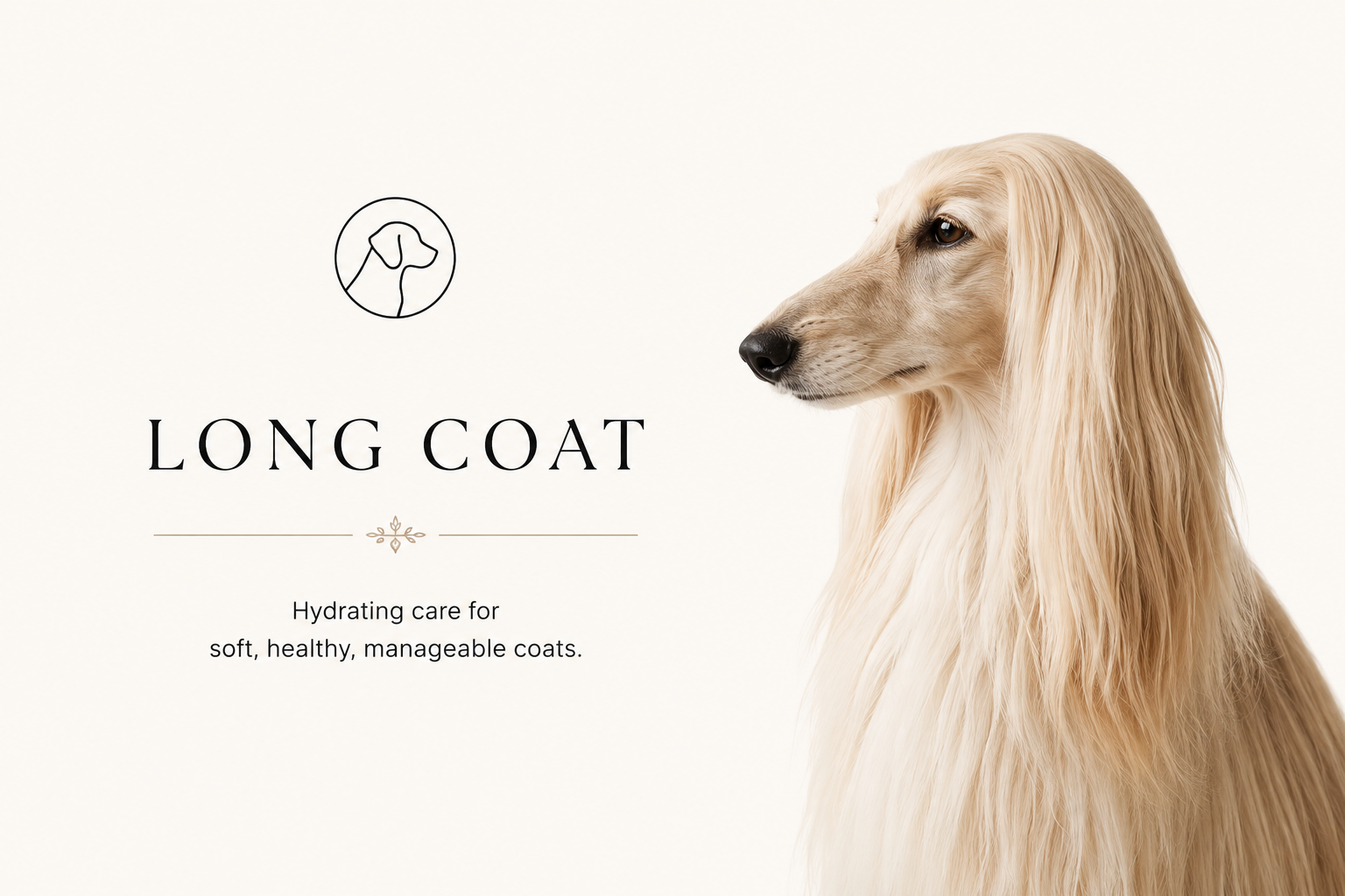 Long Coat