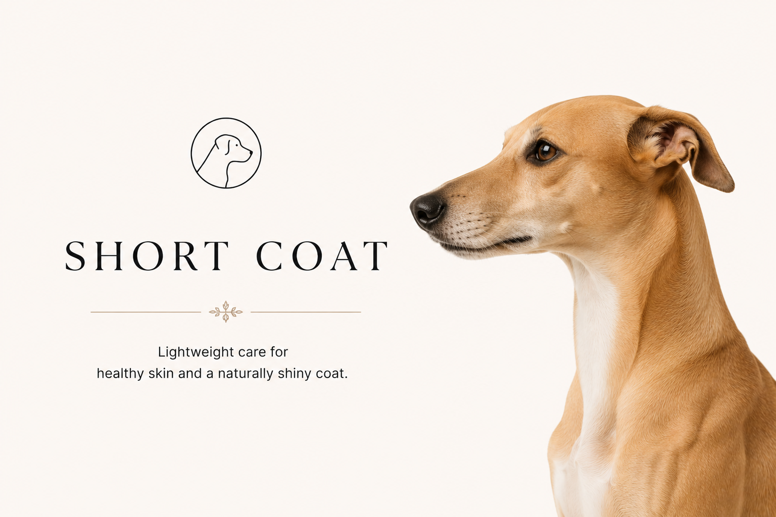 Short Coat
