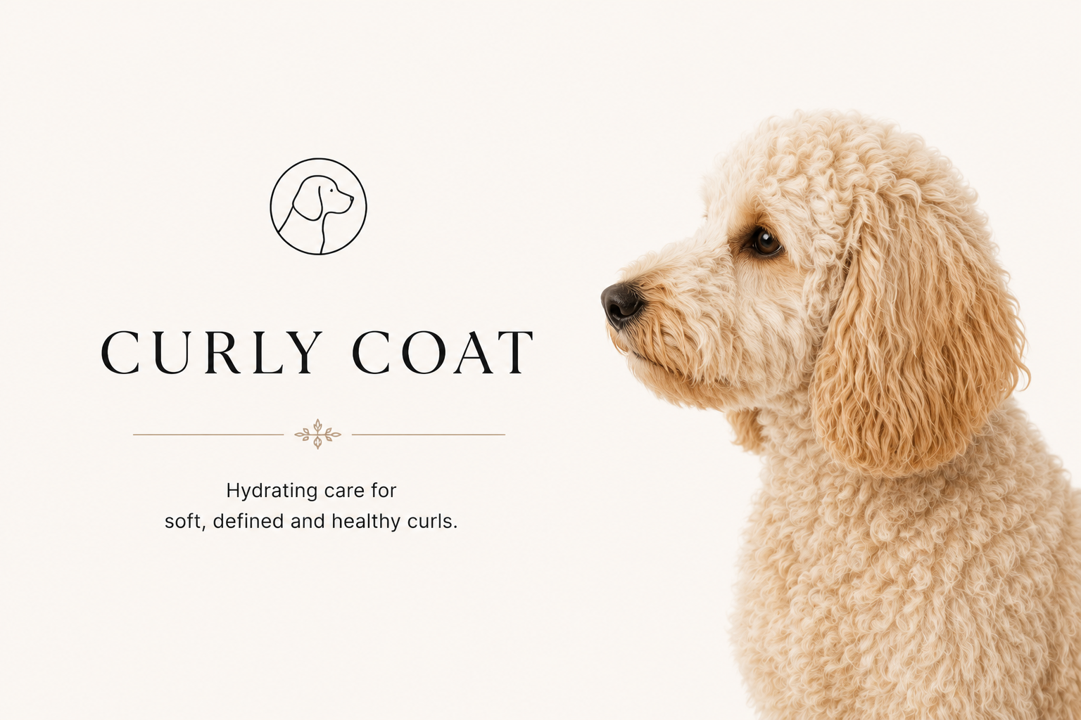 Curly Coat